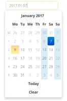 vmcustom_date_datepicker